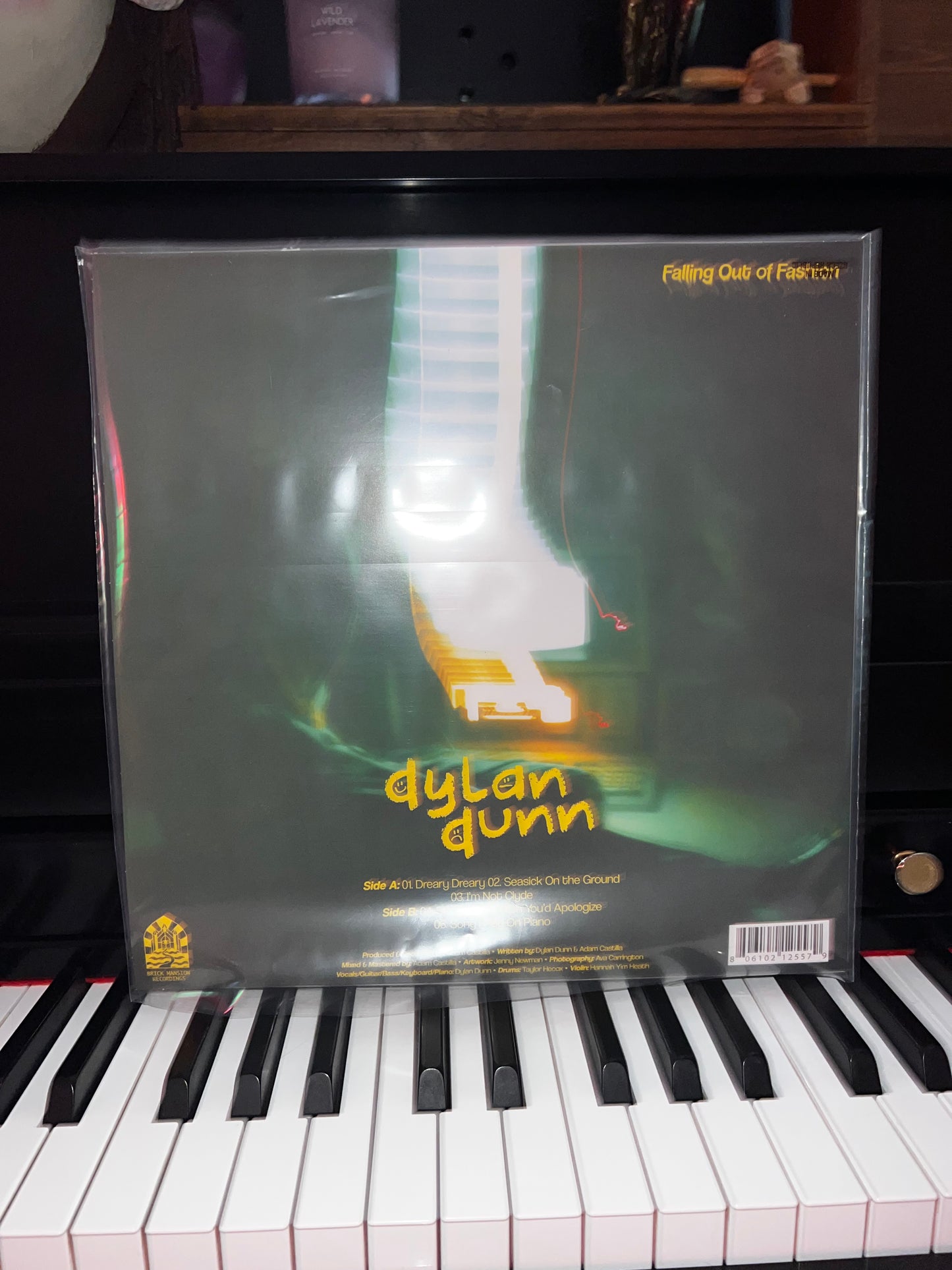 Falling Out Of Fashion Vinyl